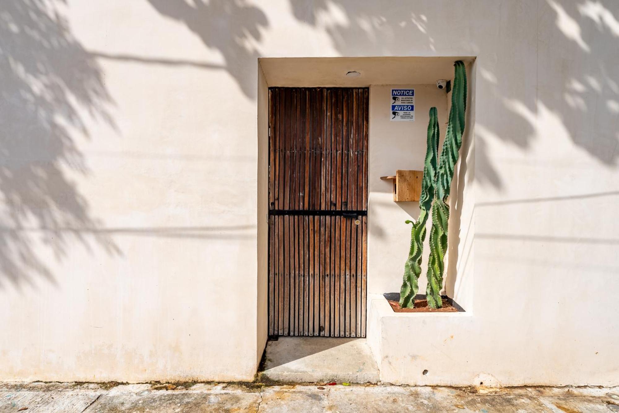 Casa Jicama Lägenhet Cancún Exteriör bild